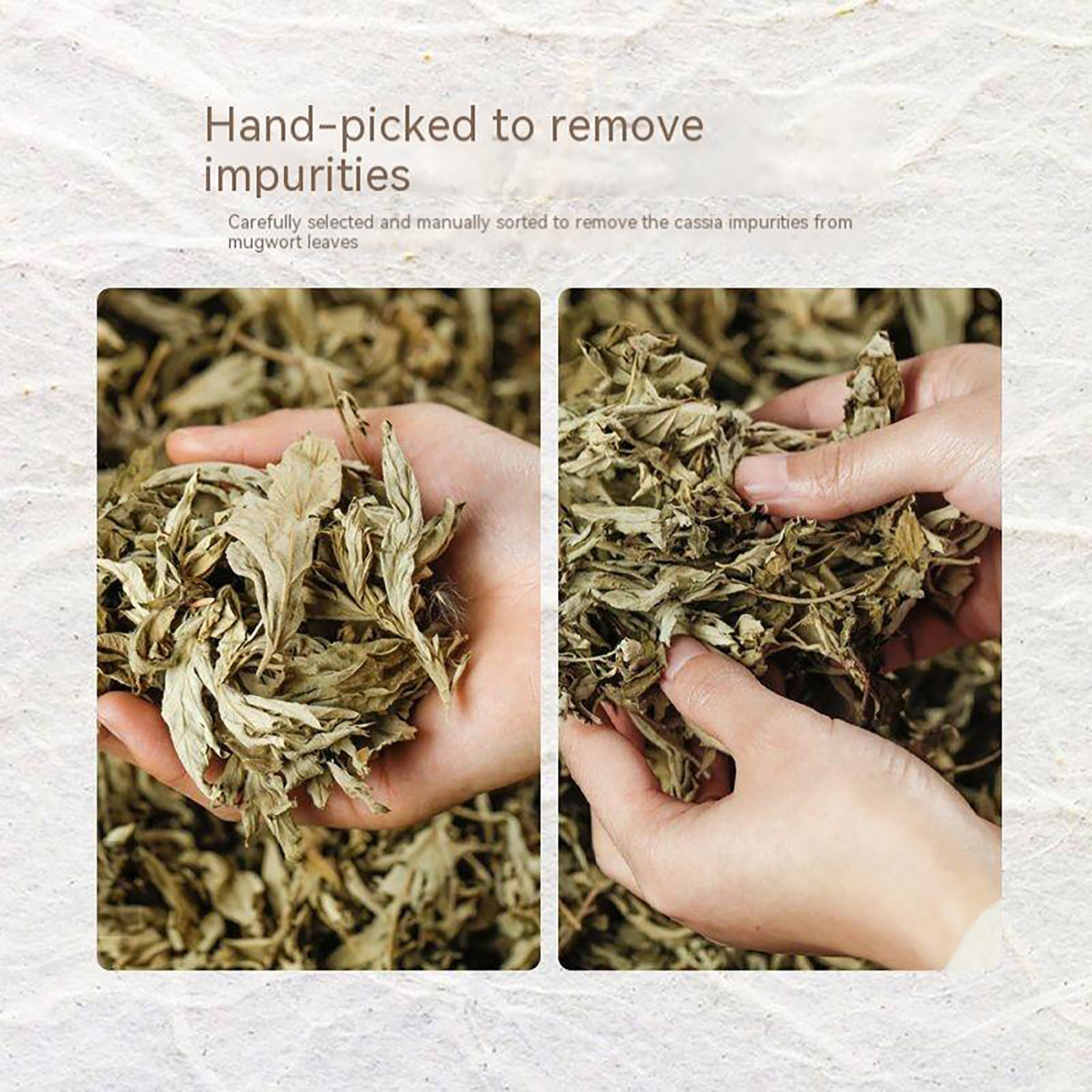 80:1 Golden-Ratio Moxa Wool – it takes 80 pounds of mugwort to produce 1 pound of moxa wool